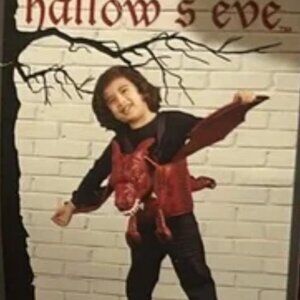 Hallow's Eve Red Dragon Rider Cute Halloween Kids Children Costume Fantasy